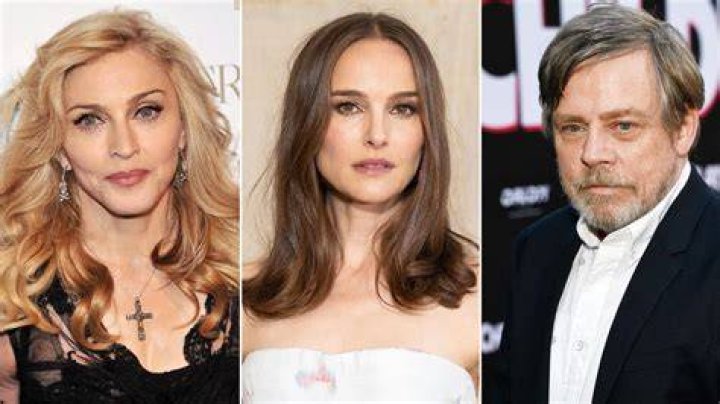 Who Is Stephanie Hamill? – Celebrity
