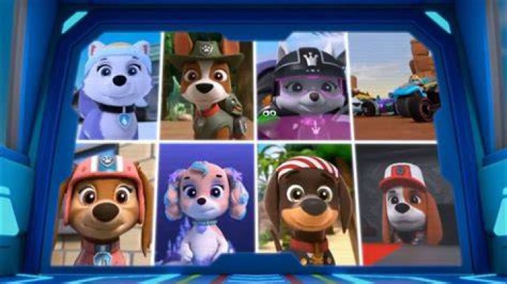 Who Is The Youngest Pup In Paw Patrol? – Celebrity