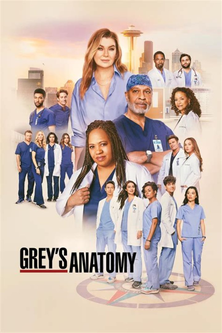 Who was Maile Flanagan in GREY’s anatomy? – Celebrity