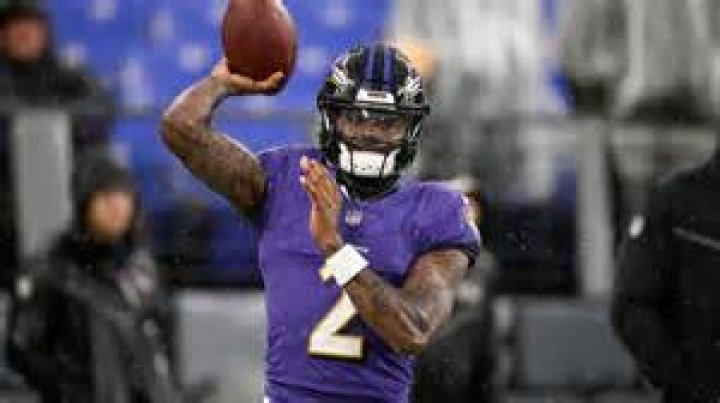 Who Was Ryan Mallet Age, Wife, Bio, Children, Net-Worth, Former Ravens QB