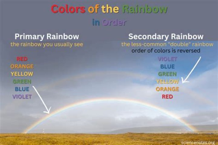 Why does the Rainbow Connection make me cry? – Celebrity